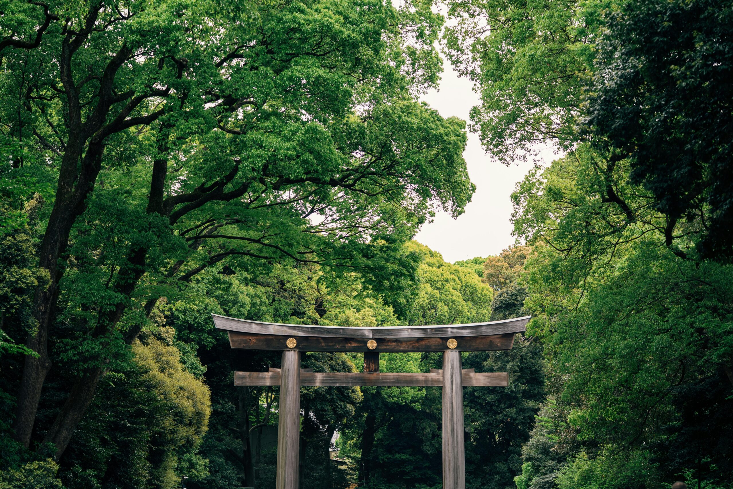 O torii gate em Meiji Jingu, um templo ao lado de Harajuku.