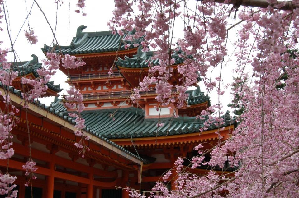 Santuário Heian, cercado de cerejeiras, em Kyoto